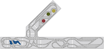 layout